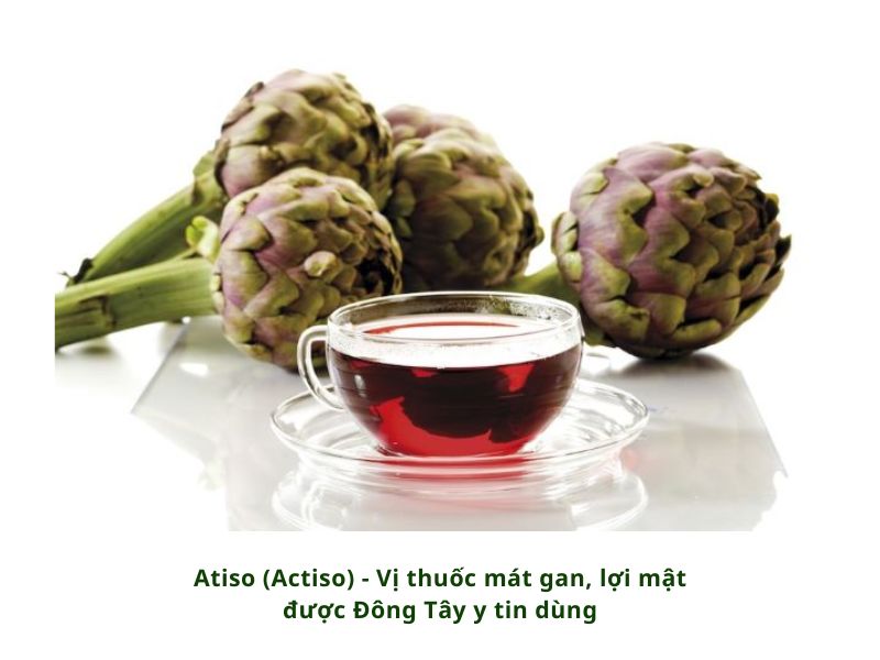ATISO - VỊ THUỐC MÁT GAN, LỢI MẬT ĐƯỢC ĐÔNG TÂY Y TIN DÙNG