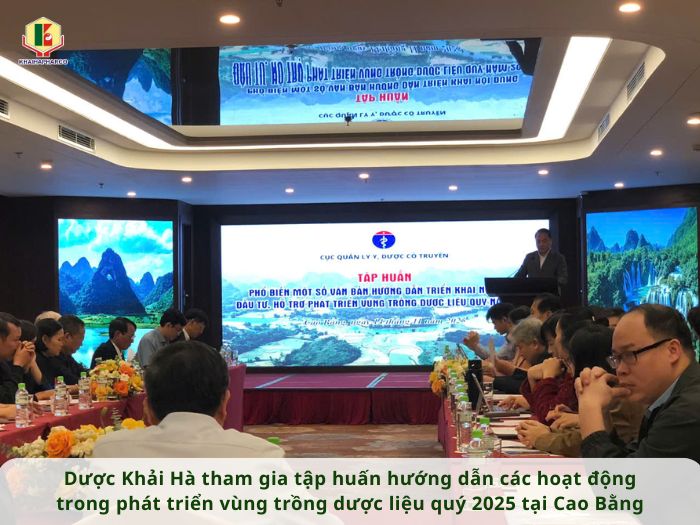 DƯỢC KHẢI HÀ THAM GIA TẬP HUẤN HƯỚNG DẪN CÁC HOẠT ĐỘNG TRONG PHÁT TRIỂN VÙNG TRỒNG DƯỢC LIỆU QUÝ 2025 TẠI CAO BẰNG