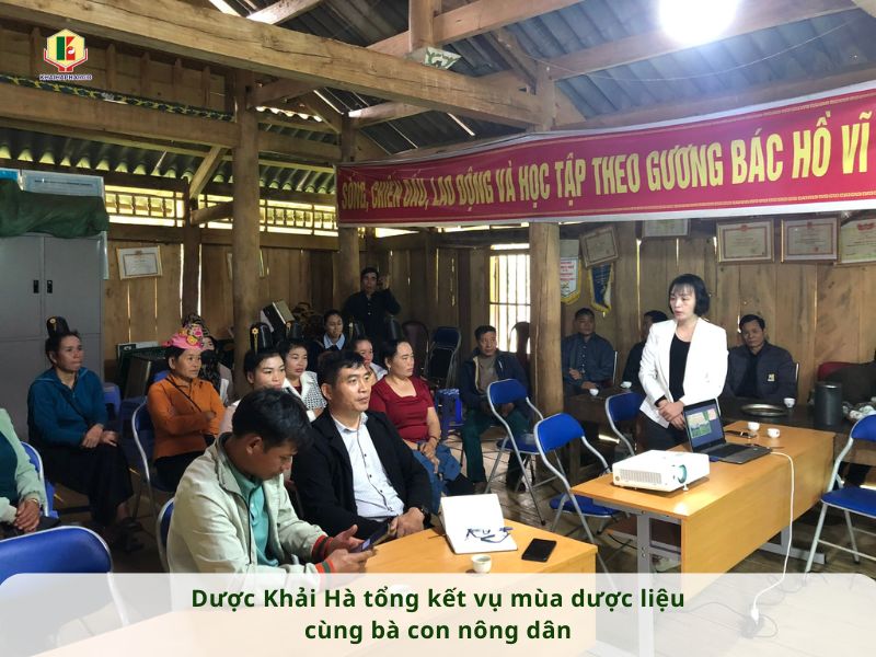 DƯỢC KHẢI HÀ TỔNG KẾT VỤ MÙA DƯỢC LIỆU CÙNG BÀ CON NÔNG DÂN