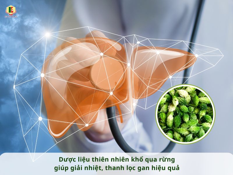 DƯỢC LIỆU THIÊN NHIÊN KHỔ QUA RỪNG GIÚP GIẢI NHIỆT, THANH LỌC GAN HIỆU QUẢ